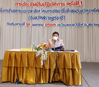 การประชุมเชิงปฏิบัติการ ครั้งที่ 1 ค่าใช้จ่ายในการจ้างออกแบบ ... พารามิเตอร์รูปภาพ 1