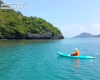 ผู้ว่าฯสุราษฎร์ธานี ห่วงใย นักท่องเที่ยวทางทะเล หวั่นโดนพิษแ ... พารามิเตอร์รูปภาพ 7