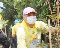 ข้าราชการและประชาชนจังหวัดสุราษฎร์ธานี พร้อมใจร่วมกิจกรรมจิต ... พารามิเตอร์รูปภาพ 8