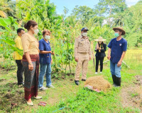 การลงพื้นที่เพื่อพิจารณาคัดสรรกิจกรรมพัฒนาชุมชนดีเด่น ประจำป ... พารามิเตอร์รูปภาพ 14