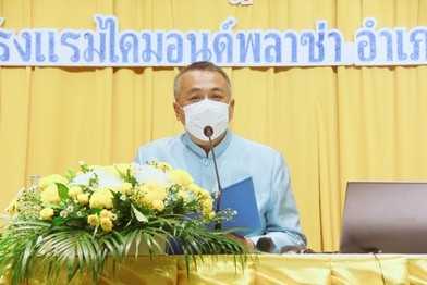 จังหวัดสุราษฎร์ธานี จัดกิจกรรมการสร้างการตระหนักรู้ในสถาบันห ... พารามิเตอร์รูปภาพ 1