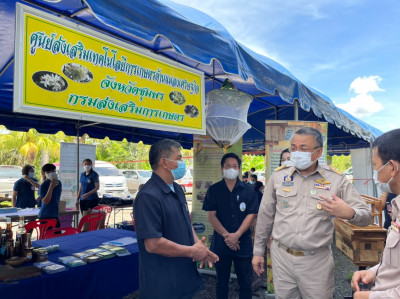 จังหวัดสุราษฎร์ธานีจัดโครงการคลินิกเกษตรเคลื่อนที่ในพระราชาน ... พารามิเตอร์รูปภาพ 1