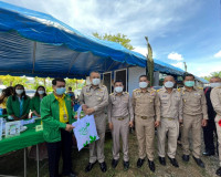จังหวัดสุราษฎร์ธานีจัดโครงการคลินิกเกษตรเคลื่อนที่ในพระราชาน ... พารามิเตอร์รูปภาพ 13