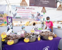 สุราษฎร์ฯ ศูนย์กลางการค้าภาคใต้ฝั่งอ่าวไทย ดันสินค้าดี สินค้ ... พารามิเตอร์รูปภาพ 10