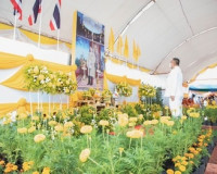พสกนิกรจังหวัดสุราษฎร์ธานี ร่วมประกอบพิธีทำบุญตักบาตร พร้อมป ... พารามิเตอร์รูปภาพ 3