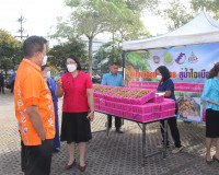 โครงการ “ลำไยเมืองเชียงราย สู่น้ำใจเมืองคนดี” กิจกรรมเชื่อมเ ... พารามิเตอร์รูปภาพ 5