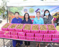 โครงการ “ลำไยเมืองเชียงราย สู่น้ำใจเมืองคนดี” กิจกรรมเชื่อมเ ... พารามิเตอร์รูปภาพ 10