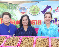 โครงการ “ลำไยเมืองเชียงราย สู่น้ำใจเมืองคนดี” กิจกรรมเชื่อมเ ... พารามิเตอร์รูปภาพ 14