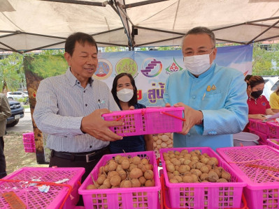 สุราษฎร์ธานี หนุนเสริมเกษตรกรภาคเหนือ ลดปัญหาความเดือดร้อนเก ... พารามิเตอร์รูปภาพ 1
