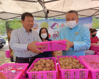 สุราษฎร์ธานี หนุนเสริมเกษตรกรภาคเหนือ ลดปัญหาความเดือดร้อนเก ... พารามิเตอร์รูปภาพ 1