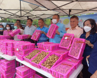 สุราษฎร์ธานี หนุนเสริมเกษตรกรภาคเหนือ ลดปัญหาความเดือดร้อนเก ... พารามิเตอร์รูปภาพ 3