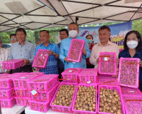สุราษฎร์ธานี หนุนเสริมเกษตรกรภาคเหนือ ลดปัญหาความเดือดร้อนเก ... พารามิเตอร์รูปภาพ 4