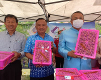 สุราษฎร์ธานี หนุนเสริมเกษตรกรภาคเหนือ ลดปัญหาความเดือดร้อนเก ... พารามิเตอร์รูปภาพ 5