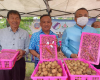 สุราษฎร์ธานี หนุนเสริมเกษตรกรภาคเหนือ ลดปัญหาความเดือดร้อนเก ... พารามิเตอร์รูปภาพ 6