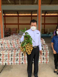 รับมอบลำไย จำนวน 3 ตัน สหกรณ์การเกษตรจอมทอง จำกัด จังหวัดเชี ... พารามิเตอร์รูปภาพ 1