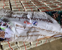 รับมอบลำไย จำนวน 3 ตัน สหกรณ์การเกษตรจอมทอง จำกัด จังหวัดเชี ... พารามิเตอร์รูปภาพ 6