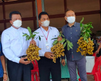 รับมอบลำไย จำนวน 3 ตัน สหกรณ์การเกษตรจอมทอง จำกัด จังหวัดเชี ... พารามิเตอร์รูปภาพ 8