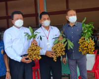 รับมอบลำไย จำนวน 3 ตัน สหกรณ์การเกษตรจอมทอง จำกัด จังหวัดเชี ... พารามิเตอร์รูปภาพ 9