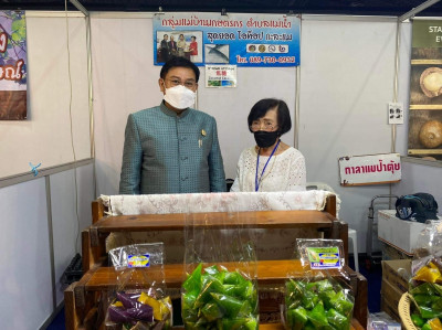 OTOP ศิลปาชีพ ประทีปไทย OTOP ก้าวไกลด้วยพระบารมี พารามิเตอร์รูปภาพ 1