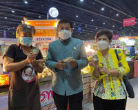 OTOP ศิลปาชีพ ประทีปไทย OTOP ก้าวไกลด้วยพระบารมี พารามิเตอร์รูปภาพ 15
