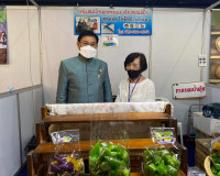 OTOP ศิลปาชีพ ประทีปไทย OTOP ก้าวไกลด้วยพระบารมี พารามิเตอร์รูปภาพ 16