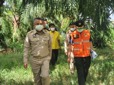 ผู้ว่าฯสุราษฎร์ธานี พร้อมด้วยหัวหน้าสำนักงาน ปภ. ร่วมสำรวจพื ... พารามิเตอร์รูปภาพ 1