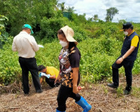 การออกตรวจพื้นที่การขอออกโฉนดที่ดินที่มีสภาพพื้นที่เป็นป่าชา ... พารามิเตอร์รูปภาพ 15