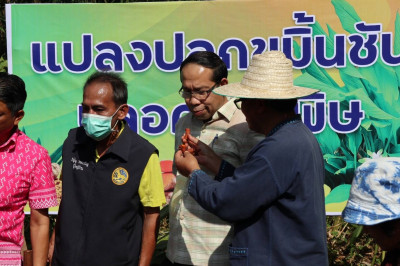 รองผู้ว่าราชการจังหวัดสุราษฎร์ธานี ร่วมลงพื้นที่กับรัฐมนตรีช ... พารามิเตอร์รูปภาพ 1