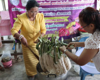 พิธีเปิดกิจกรรมการดำเนินงานโครงการขับเคลื่อน โครงการ &quot;ผ้าไทย ... พารามิเตอร์รูปภาพ 14