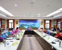 ผู้ว่าราชการจังหวัดสุราษฎร์ธานี ประชุม ติดตามขับเคลื่อนงานตา ... พารามิเตอร์รูปภาพ 2