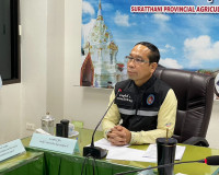 การประชุมคณะกรรมการไกล่เกลี่ยข้อพิพาทประจำจังหวัดสุราษฎร์ธาน ... พารามิเตอร์รูปภาพ 1