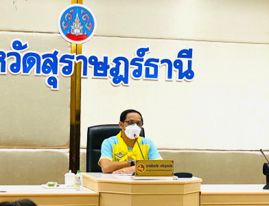 การประชุมคณะกรรมการผังเมืองจังหวัดสุราษฎร์ธานี ซึ่งเทศบาลตำบ ... พารามิเตอร์รูปภาพ 1