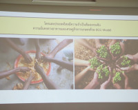 ผู้ว่าฯสุราษฎร์ธานี ร่วมเปิดป้ายศูนย์นวัตกรรม การเกษตร ประมง ... พารามิเตอร์รูปภาพ 4