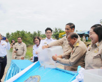 พิธีปล่อยพันธุ์สัตว์น้ำ เนื่องในวันเฉลิมพระชนมพรรษา สมเด็จพร ... พารามิเตอร์รูปภาพ 6