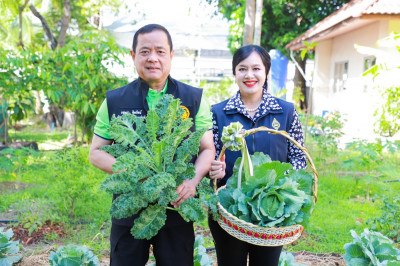 ผู้ว่าฯ สุราษฎร์ธานีจับมือแม่บ้านมหาดไทยเก็บเกี่ยวผลผลิตผักป ... พารามิเตอร์รูปภาพ 1
