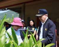 ตรวจเยี่ยมแปลงเพาะพันธุ์และจำหน่ายต้นกล้าปาล์มน้ำมันของเอกชน ... พารามิเตอร์รูปภาพ 3