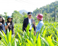ตรวจเยี่ยมแปลงเพาะพันธุ์และจำหน่ายต้นกล้าปาล์มน้ำมันของเอกชน ... พารามิเตอร์รูปภาพ 4