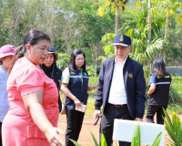 ตรวจเยี่ยมแปลงเพาะพันธุ์และจำหน่ายต้นกล้าปาล์มน้ำมันของเอกชน ... พารามิเตอร์รูปภาพ 5