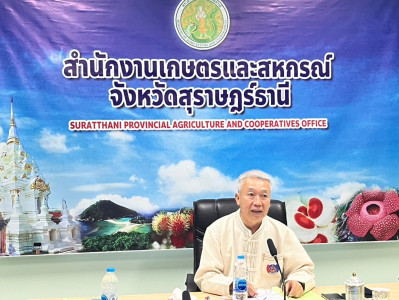 รองผู้ว่าราชการจังหวัดสุราษฎร์ธานี เป็นประธานการประชุมคัดเลื ... พารามิเตอร์รูปภาพ 1