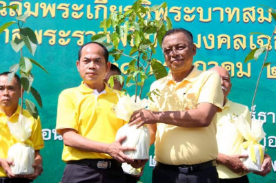 ข้าราชการและประชาชนจังหวัดสุราษฎร์ธานีรวมพลังปลูกต้นไม้ โครง ... พารามิเตอร์รูปภาพ 1