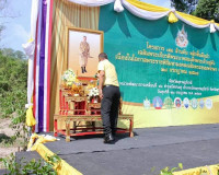 ข้าราชการและประชาชนจังหวัดสุราษฎร์ธานีรวมพลังปลูกต้นไม้ โครง ... พารามิเตอร์รูปภาพ 1