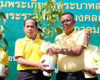 ข้าราชการและประชาชนจังหวัดสุราษฎร์ธานีรวมพลังปลูกต้นไม้ โครง ... พารามิเตอร์รูปภาพ 13