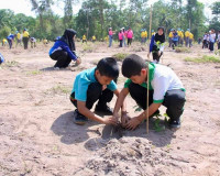 ข้าราชการและประชาชนจังหวัดสุราษฎร์ธานีรวมพลังปลูกต้นไม้ โครง ... พารามิเตอร์รูปภาพ 18