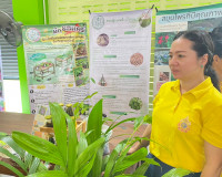 รองผู้ว่าราชการจังหวัดสุราษฎร์ธานี เป็นประธานในพิธีเปิดโครงก ... พารามิเตอร์รูปภาพ 13