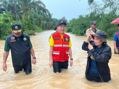 รองผู้ว่าราชการจังหวัดสุราษฎร์ธานี ลงพื้นที่เยี่ยม/ช่วยเหลือ ... พารามิเตอร์รูปภาพ 1