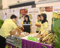 รองผู้ว่าราชการจังหวัดสุราษฎร์ธานี ให้การต้อนรับนางสาวอนงค์น ... พารามิเตอร์รูปภาพ 11