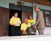 พระบาทสมเด็จพระเจ้าอยู่หัว ทรงห่วงใยราษฎรที่ประสบอุทกภัย ในโ ... พารามิเตอร์รูปภาพ 13