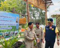 รองผู้ว่าราชการจังหวัดสุราษฎร์ธานีลงพื้นที่ตรวจติดตามประเมิน ... พารามิเตอร์รูปภาพ 3