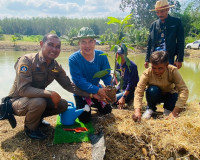 รองผู้ว่าราชการจังหวัดสุราษฎร์ธานี เป็นประธานในพิธีเปิดกิจกร ... พารามิเตอร์รูปภาพ 12