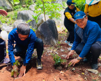 รองผู้ว่าราชการจังหวัดสุราษฎร์ธานี เป็นประธานกล่าวเปิดกิจกรร ... พารามิเตอร์รูปภาพ 12